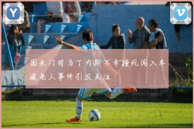 国米门将马丁内斯不幸撞死闯入车道老人事件引发关注