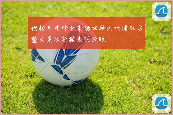 德转年度转会市场回顾利物浦独占鳌头曼联新援表现抢眼