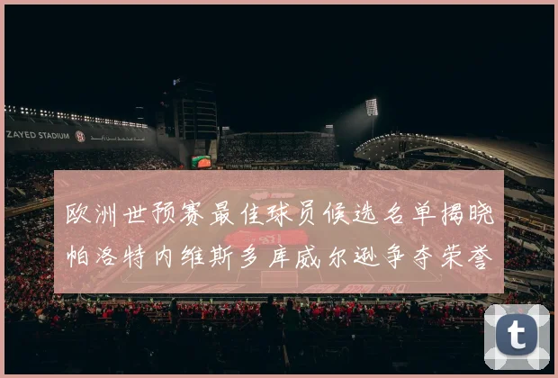 欧洲世预赛最佳球员候选名单揭晓帕洛特内维斯多库威尔逊争夺荣誉
